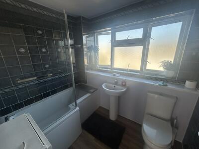 Picture 11